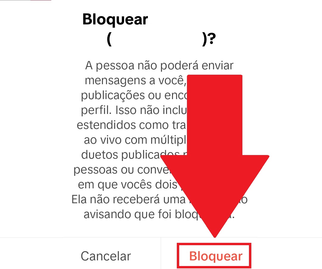 Na mensagem é informada as consequências depois que o perfil for bloqueado no TikTok