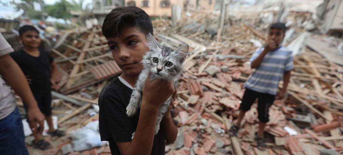 Um menino de cinco anos segura seu gato em meio aos destroços de sua casa em Gaza