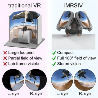 Diferença entre o VR tradicional e o iMRSIV para ratos.