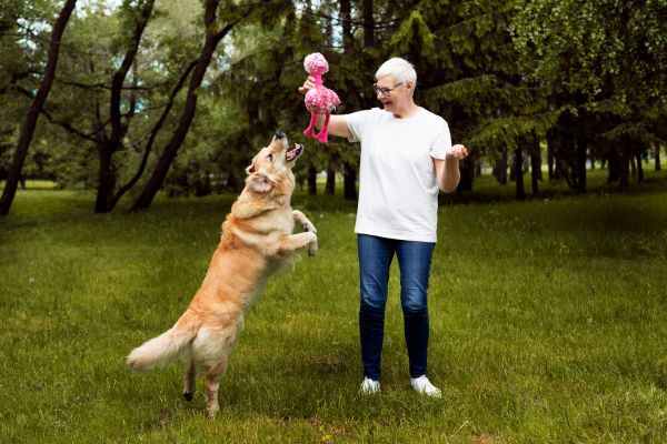 Idosa brincando com cachorro em um gramado.